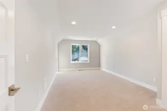 Bedroom #4, or a bonus room, rec room, movie room away from the noise downstairs, game room, office, you name it!