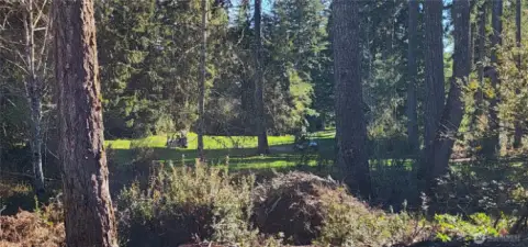 the golfers are at the Tee Box