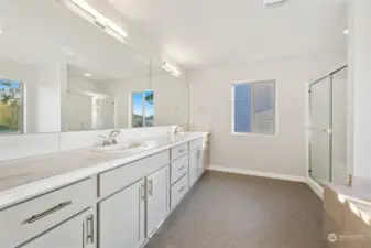 Primary Bathroom, large countertop with two sinks. Images used for representation only.