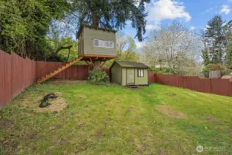 Backyard with shed & treehouse