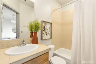 En-suite lower level bath