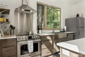 Chef-inspired kitchen — Stainless steel finishes, gas range, and forest views over the sink.
