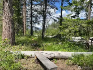 Tranquil Pathway – Meander through the forest on this peaceful trail, just steps from your back door, offering direct access to nature and nearby riverbanks.