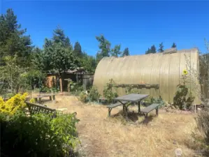 Check out this back yard. FULL of plants and trees