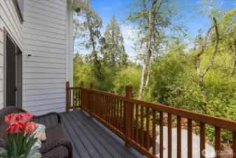 Sitting on the deck literally feels like you're in a treehouse.