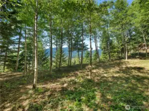 Photos are representative of the overall property and may not reflect the unique features of each individual lot.