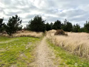 Entrance to beach path