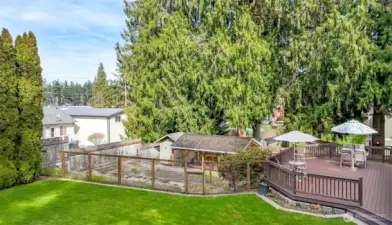 The oversized deck overlooks a lush garden space, all neatly enclosed by a fence. A dedicated chicken area offers a charming, functional l setup for fresh eggs. The combination creates an inviting outdoor living are perfect for entertaining or enjoying country life comforts