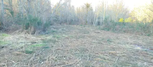 Potential building site