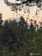 Mt. Rainier view from the upper deck