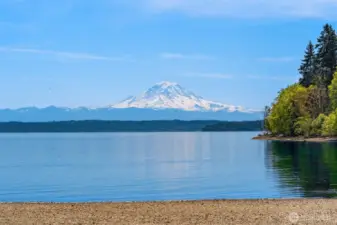 Incredible Mt Rainier views