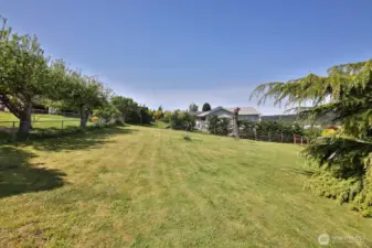 Back fenced yard