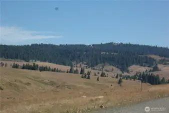 views on the way in