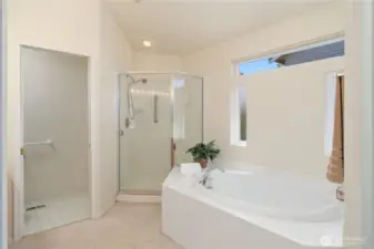 Soaking tub and shower