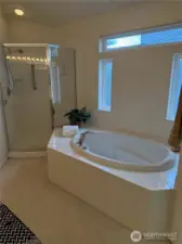 Soaking tub in light bright bathroom
