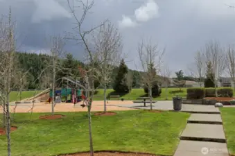 One of Many Local Parks