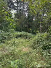 Area in front of well.