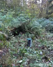 Well pipe at the back of property.