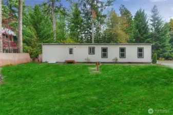 Backyard photo has staged grass