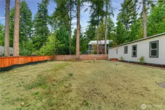 Backyard photo with hydroseed sprayed in
