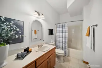 Lower level full bathroom