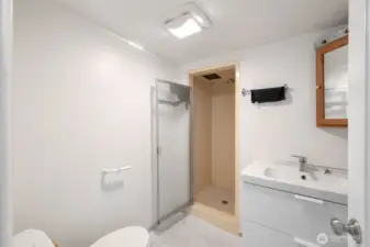 Lower level 3/4 bath