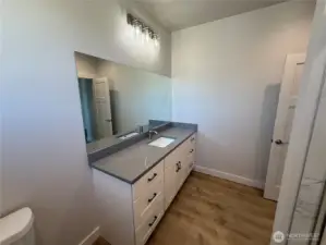 Primary vanity