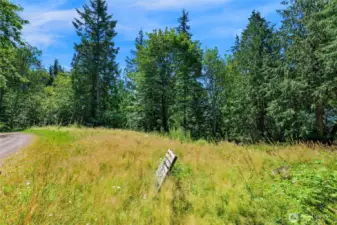 Again, this is the site along the west slope where the seller was going to build.