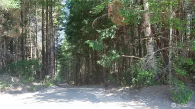 Drone pictures will be coming soon! Make an apointment to come see all this has to offer It's some of the best property I've seen regionally offering these huge Cascade range & territorial views. Acreage is mostly level as well with a slight slope to the eastern boundaries. Building site for Lot 1 was not yet ready to photograph.