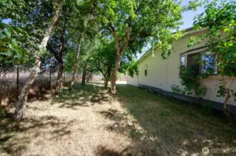 Side of home