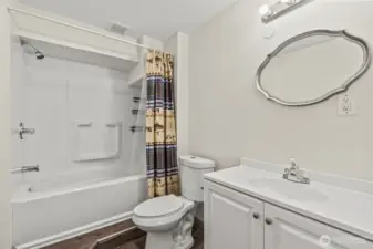 lower level full bath