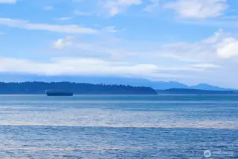 Watch world-traveling vessels sail by.