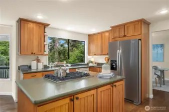 Notice the center island with downdraft stove.