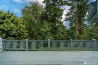 Wow!  Look at that beautiful green belt.