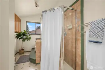 Primary bath shower.