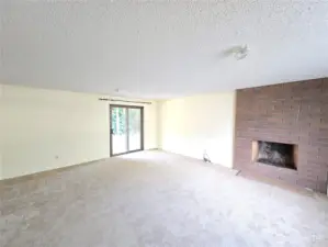 Lower level family room
