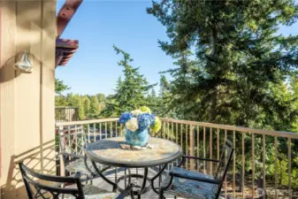 Back deck looking towards the east.  Mostly covered.