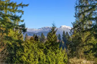 Gorgeous mountain view from the property and numerous rooms.