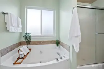 Primary ensuite - feels like a spaaaaaah