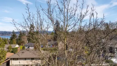 5 of 5 -- View from future back of 3-floor home’s top floor, looking east.