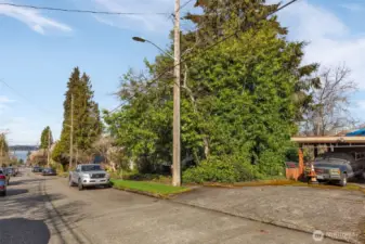 Street view looking back at property.