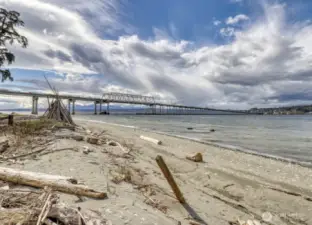 Take a leisurely stroll along the beach towards Hood Canal bridge, you'll never know what you'll find along the way...