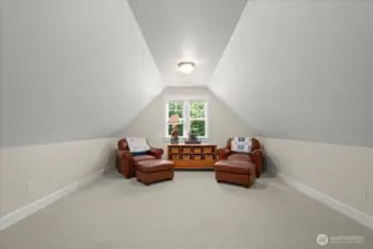 Bonus Room-Vaulted