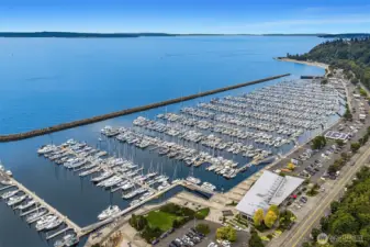 Scenes from around Ballard - Shilshole Bay Marina