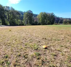 View from the setback line looking toward the river.