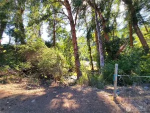 Trail leading to river