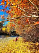 The rock beach turns golden