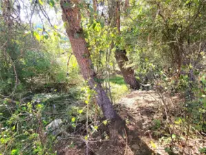 This lot has 300 feet of river frontage and is fairly wooded along the river but has access to the river from multiple trails.  Opening up to rocky beaches when the river is low.