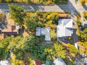 Bird’s-eye view highlighting the home’s placement among lush trees.
