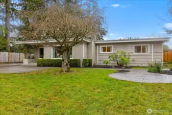 Large mid century home, sitting on an 18,000 sqft lot.